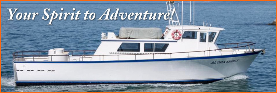 Welcome to Aloha Spirit Sportfishing